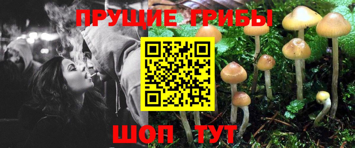 Галлюциногенные грибы GOLDEN TEACHER Ахтубинск